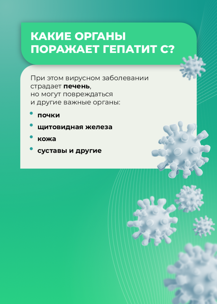 Важные вопросы о гепатите С