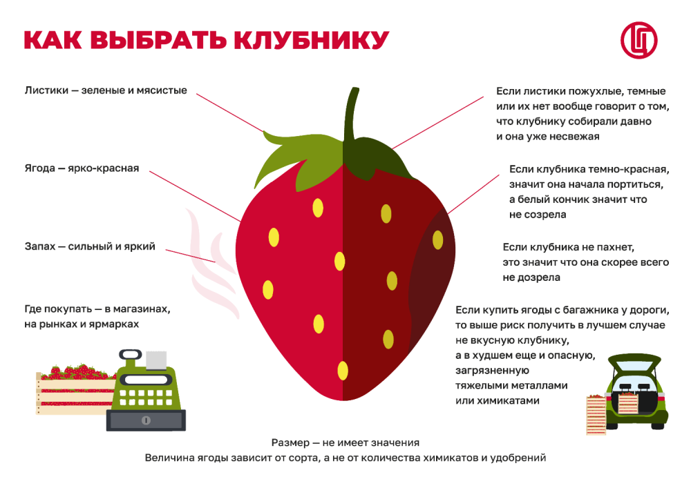 Роспотребнадзор рекомендует: выбираем клубнику